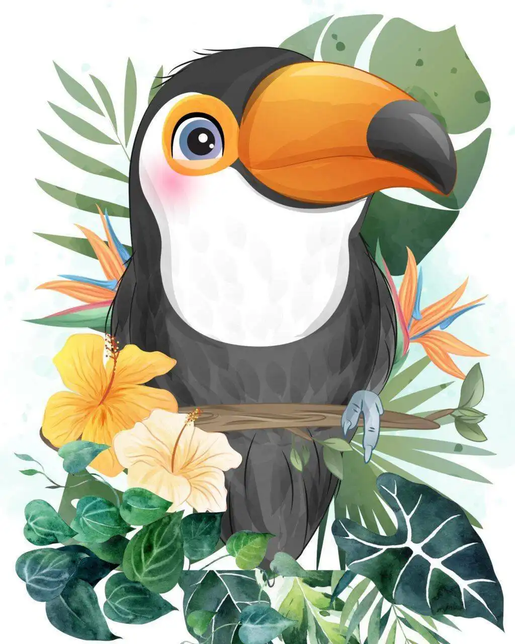 Toucan