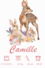 Affiche de naissance biche