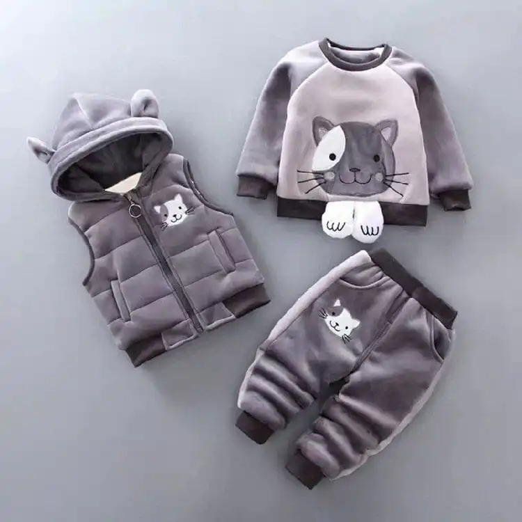 Chaton Gris